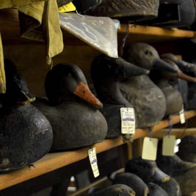 Duck Decoys